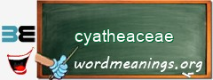 WordMeaning blackboard for cyatheaceae